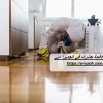شركة مكافحة حشرات في الجميرا دبي