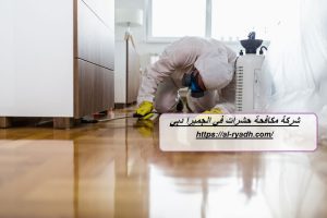 شركة مكافحة حشرات في الجميرا دبي